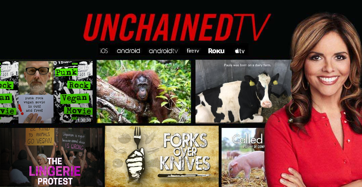 UnchainedTV - Vegan TV Network